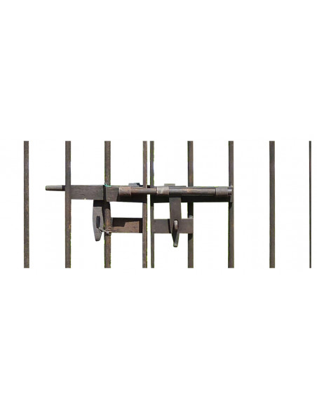 Cancello in ferro pieno L335xPR12xH245 cm