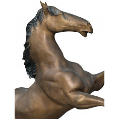 Cavallo in fusione di bronzo L125xPR62xH154 cm 2
