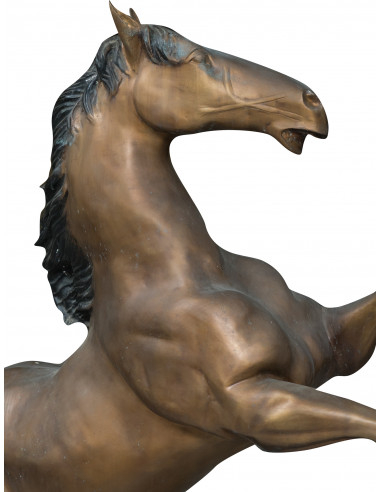 Cavallo in fusione di bronzo L125xPR62xH154 cm Cavallo in fusione di bronzo L125xPR62xH154 cm