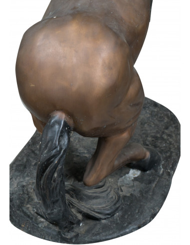 Cavallo in fusione di bronzo L125xPR62xH154 cm Cavallo in fusione di bronzo L125xPR62xH154 cm